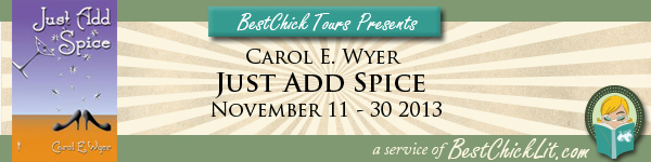 Just Add Spice tour banner
