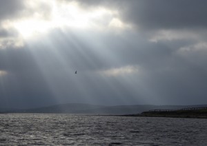 9 shafts of light