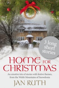 Home for Christmas Cover LARGE EBOOK